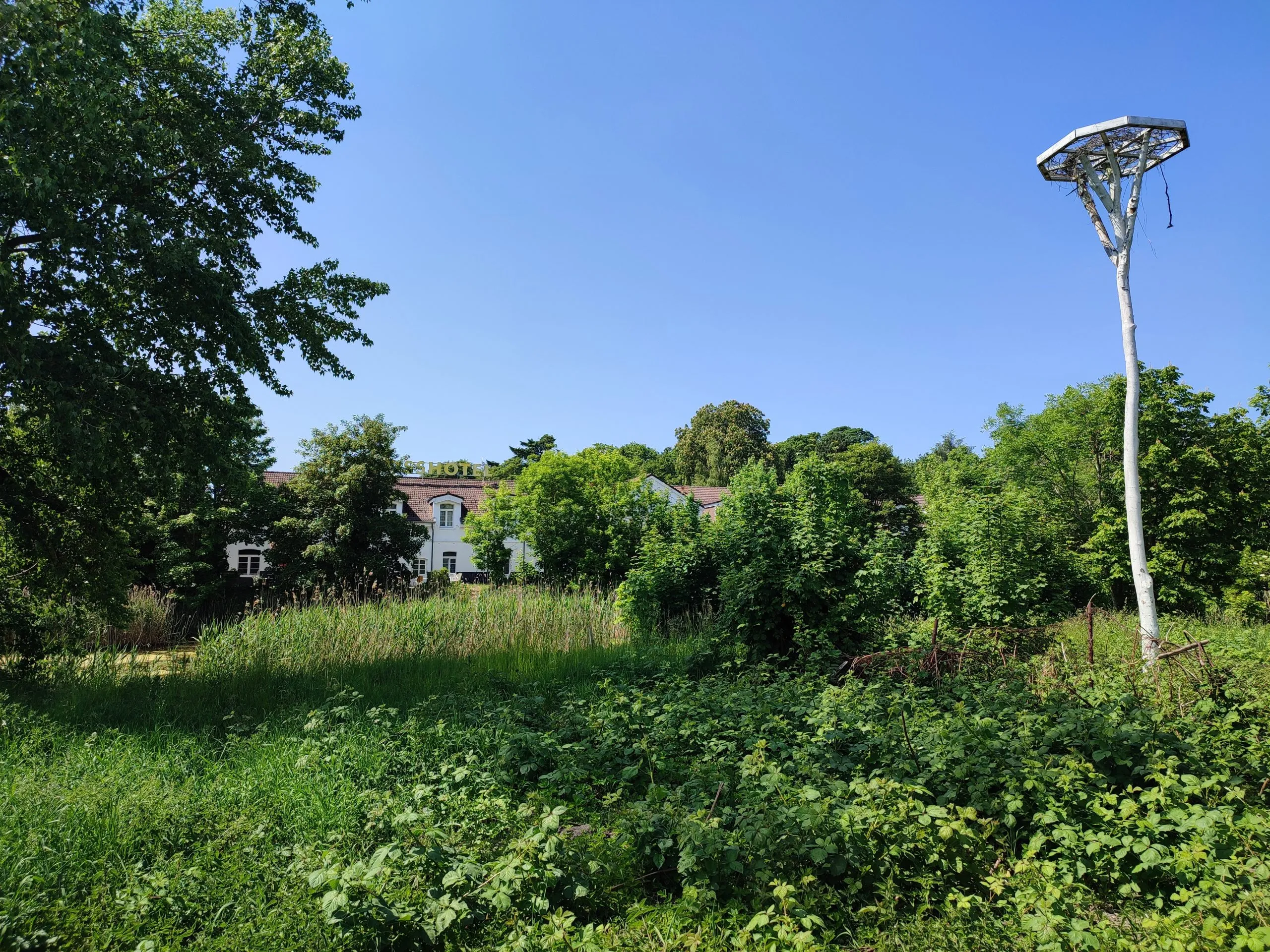 Schlossgartenanlage