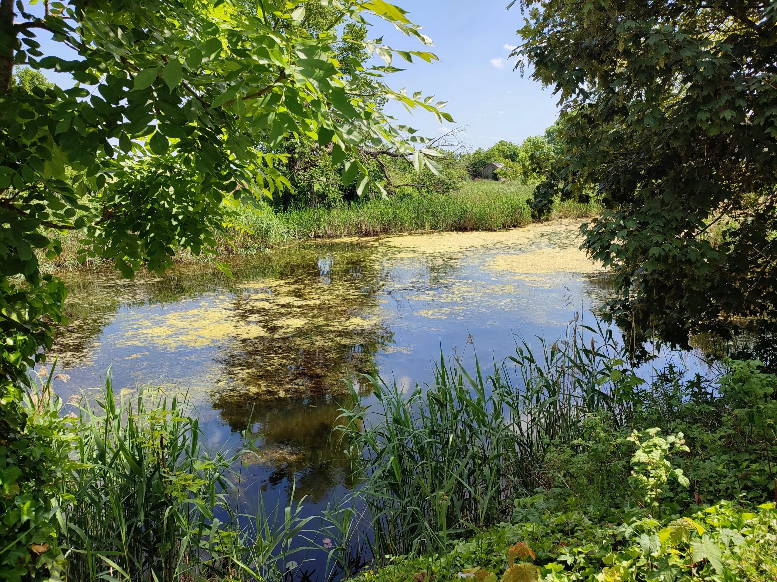 Schlosspark Panorama