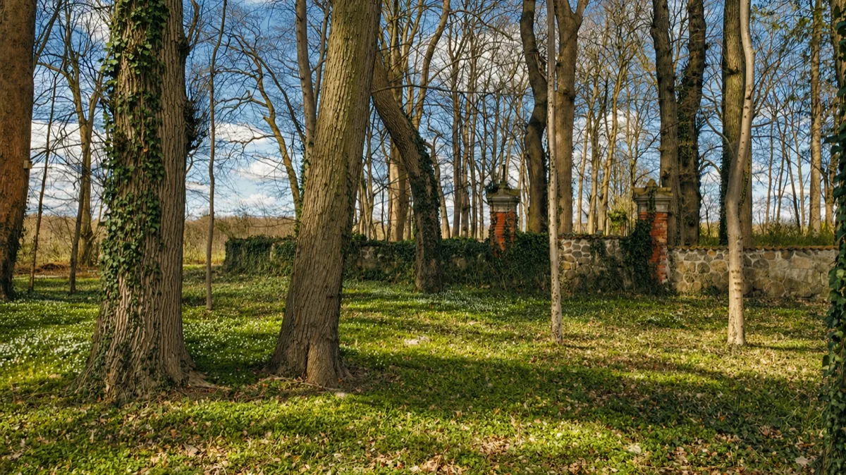 Schlosspark Groß Potrems mit altem Baumbestand, Efeu und historischer Steinmauer